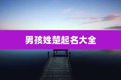 男孩姓楚起名大全