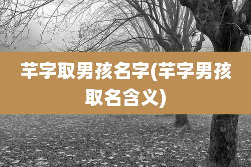 芊字取男孩名字(芊字男孩取名含义)