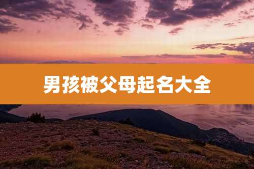 男孩被父母起名大全