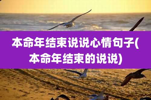 本命年结束说说心情句子(本命年结束的说说)