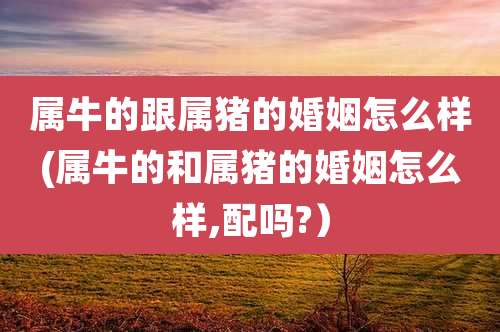 属牛的跟属猪的婚姻怎么样(属牛的和属猪的婚姻怎么样,配吗?）