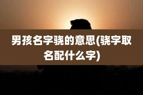 男孩名字骁的意思(骁字取名配什么字)