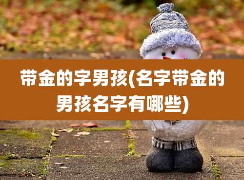 带金的字男孩(名字带金的男孩名字有哪些)