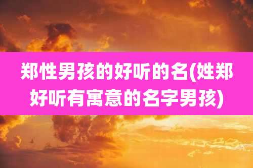 郑性男孩的好听的名(姓郑好听有寓意的名字男孩)
