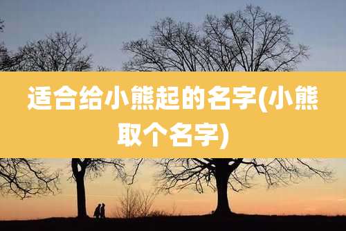 适合给小熊起的名字(小熊取个名字)