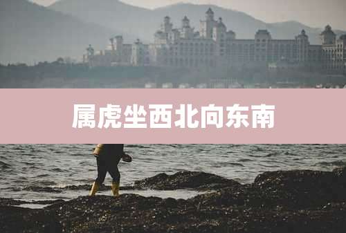 属虎坐西北向东南