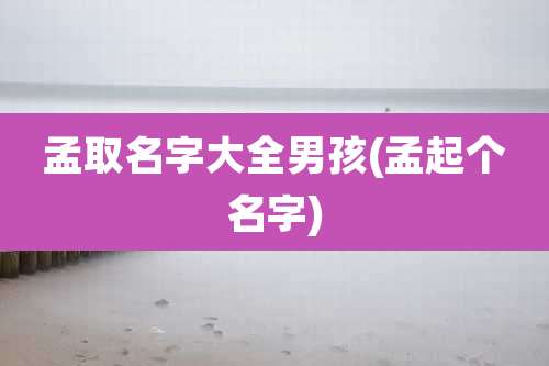 孟取名字大全男孩(孟起个名字)