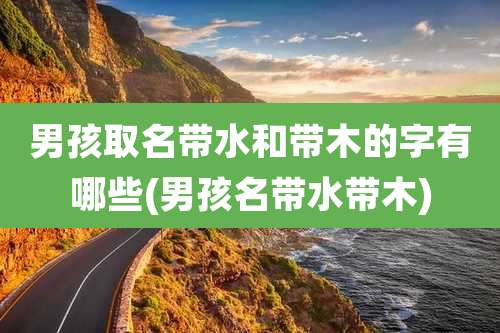 男孩取名带水和带木的字有哪些(男孩名带水带木)