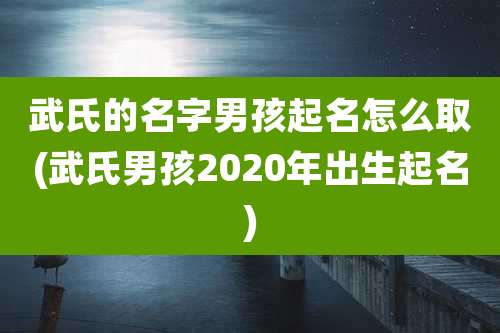 武氏的名字男孩起名怎么取(武氏男孩2020年出生起名)