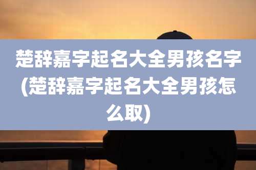 楚辞嘉字起名大全男孩名字(楚辞嘉字起名大全男孩怎么取)