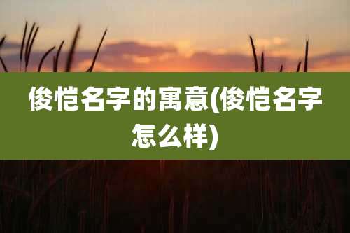 俊恺名字的寓意(俊恺名字怎么样)