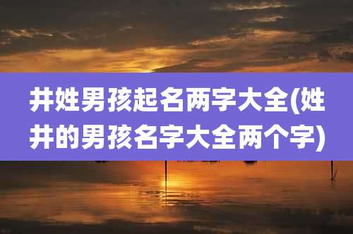 井姓男孩起名两字大全(姓井的男孩名字大全两个字)
