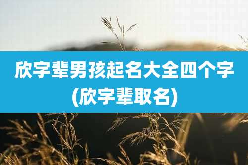 欣字辈男孩起名大全四个字(欣字辈取名)