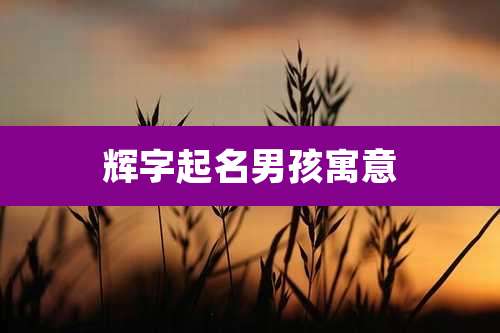 辉字起名男孩寓意