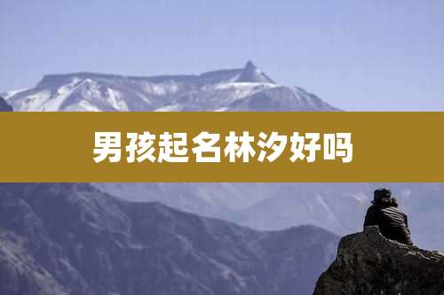 男孩起名林汐好吗
