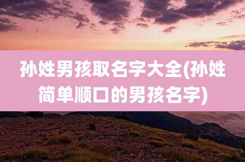 孙姓男孩取名字大全(孙姓简单顺口的男孩名字)