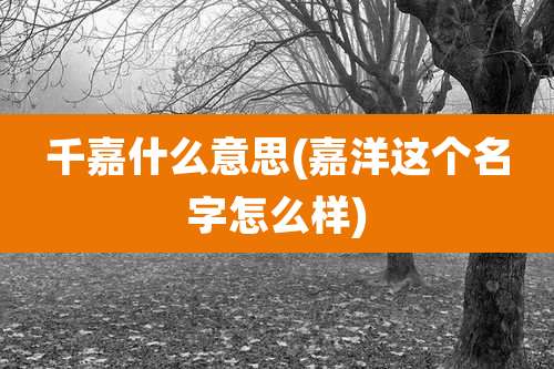 千嘉什么意思(嘉洋这个名字怎么样)