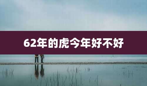 62年的虎今年好不好