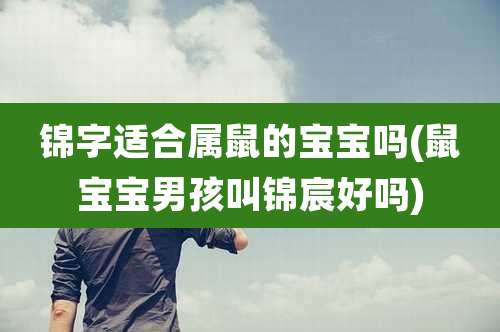 锦字适合属鼠的宝宝吗(鼠宝宝男孩叫锦宸好吗)