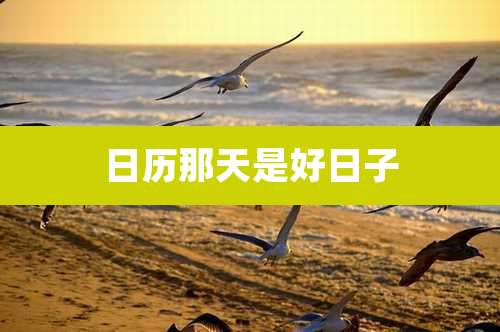 日历那天是好日子