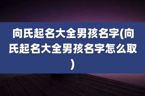 向氏起名大全男孩名字(向氏起名大全男孩名字怎么取)