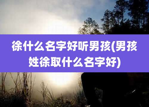 徐什么名字好听男孩(男孩姓徐取什么名字好)