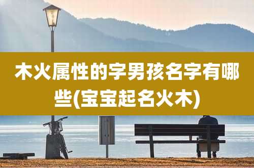 木火属性的字男孩名字有哪些(宝宝起名火木)