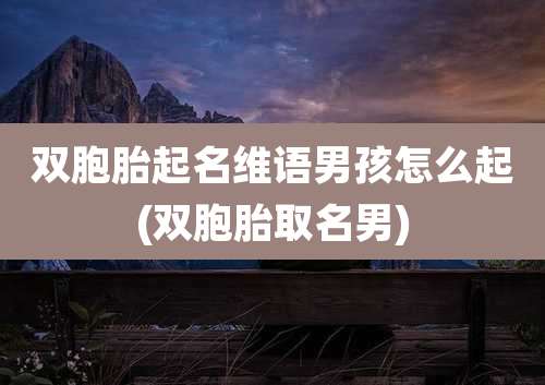 双胞胎起名维语男孩怎么起(双胞胎取名男)