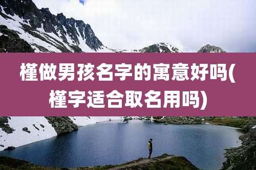 槿做男孩名字的寓意好吗(槿字适合取名用吗)