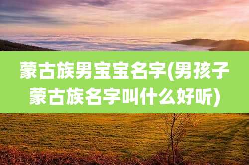 蒙古族男宝宝名字(男孩子蒙古族名字叫什么好听)