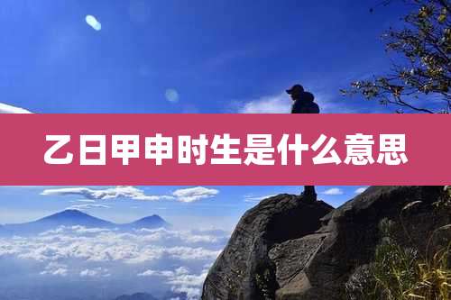 乙日甲申时生是什么意思