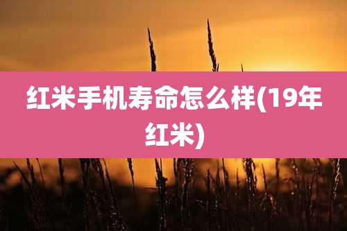 红米手机寿命怎么样(19年红米)