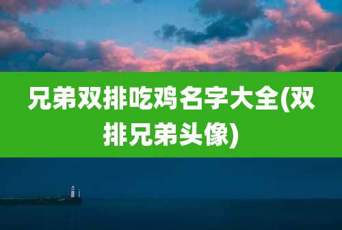 兄弟双排吃鸡名字大全(双排兄弟头像)
