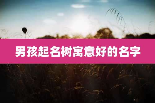 男孩起名树寓意好的名字