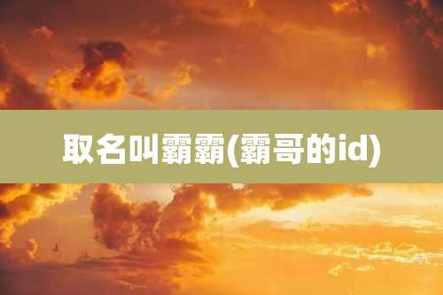 取名叫霸霸(霸哥的id)