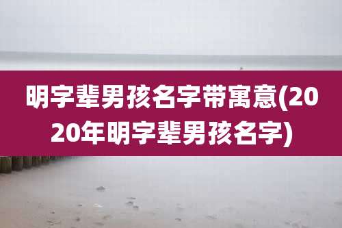 明字辈男孩名字带寓意(2020年明字辈男孩名字)