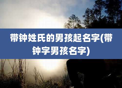 带钟姓氏的男孩起名字(带钟字男孩名字)