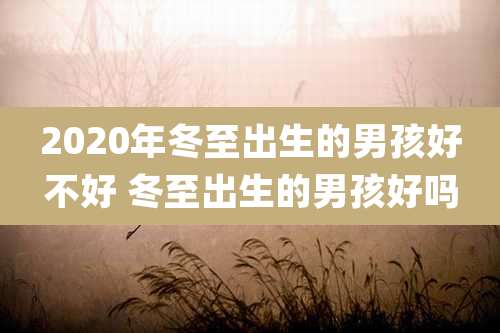 2020年冬至出生的男孩好不好 冬至出生的男孩好吗