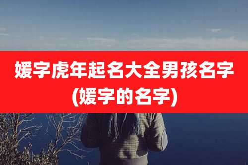 媛字虎年起名大全男孩名字(媛字的名字)