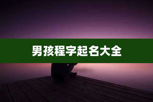 男孩程字起名大全