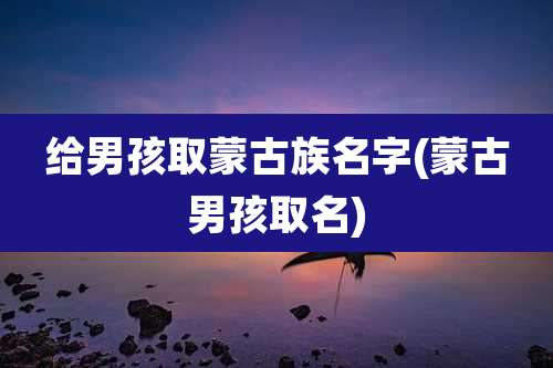 给男孩取蒙古族名字(蒙古男孩取名)