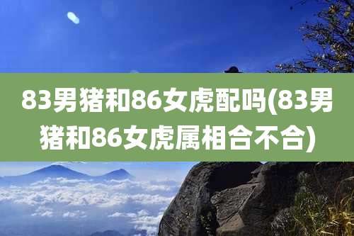 83男猪和86女虎配吗(83男猪和86女虎属相合不合)