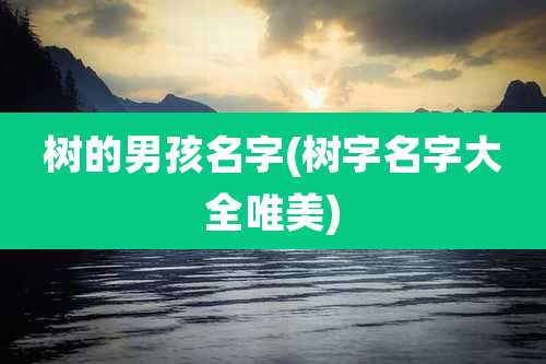 树的男孩名字(树字名字大全唯美)