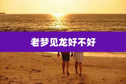 老梦见龙好不好