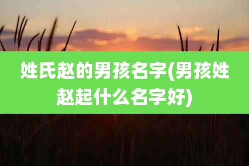 姓氏赵的男孩名字(男孩姓赵起什么名字好)