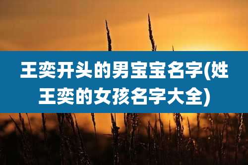 王奕开头的男宝宝名字(姓王奕的女孩名字大全)