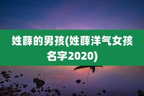 姓薛的男孩(姓薛洋气女孩名字2020)