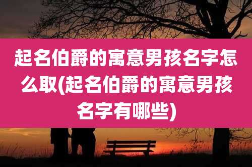 起名伯爵的寓意男孩名字怎么取(起名伯爵的寓意男孩名字有哪些)