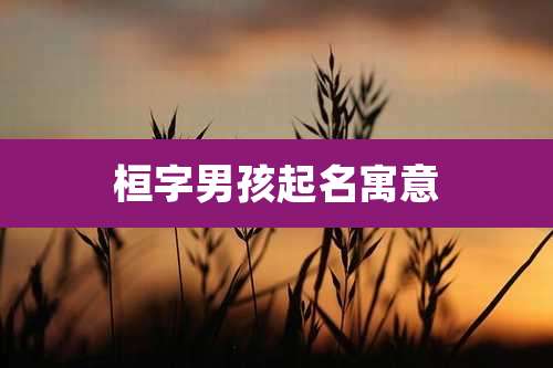 桓字男孩起名寓意