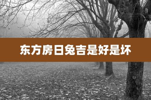 东方房日兔吉是好是坏